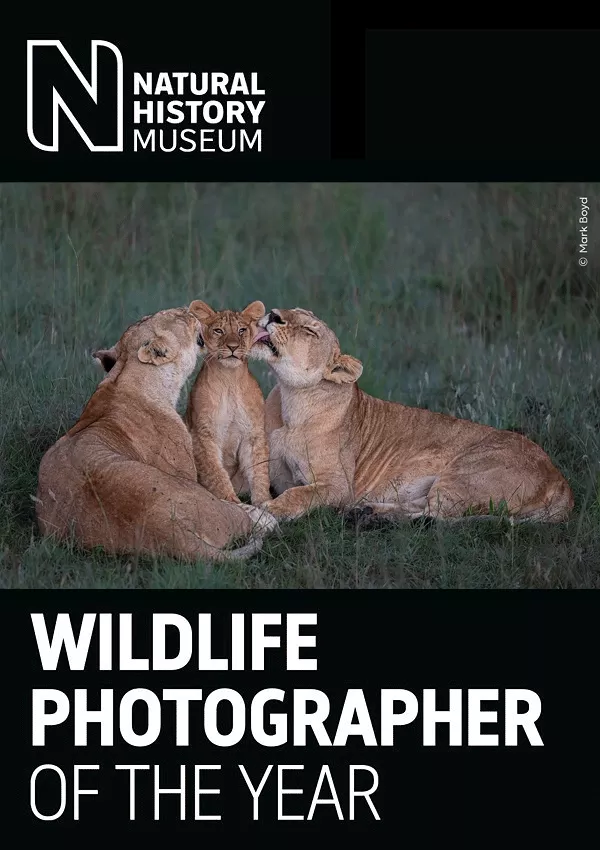 Konkurs Wildlife Photographer of the Year