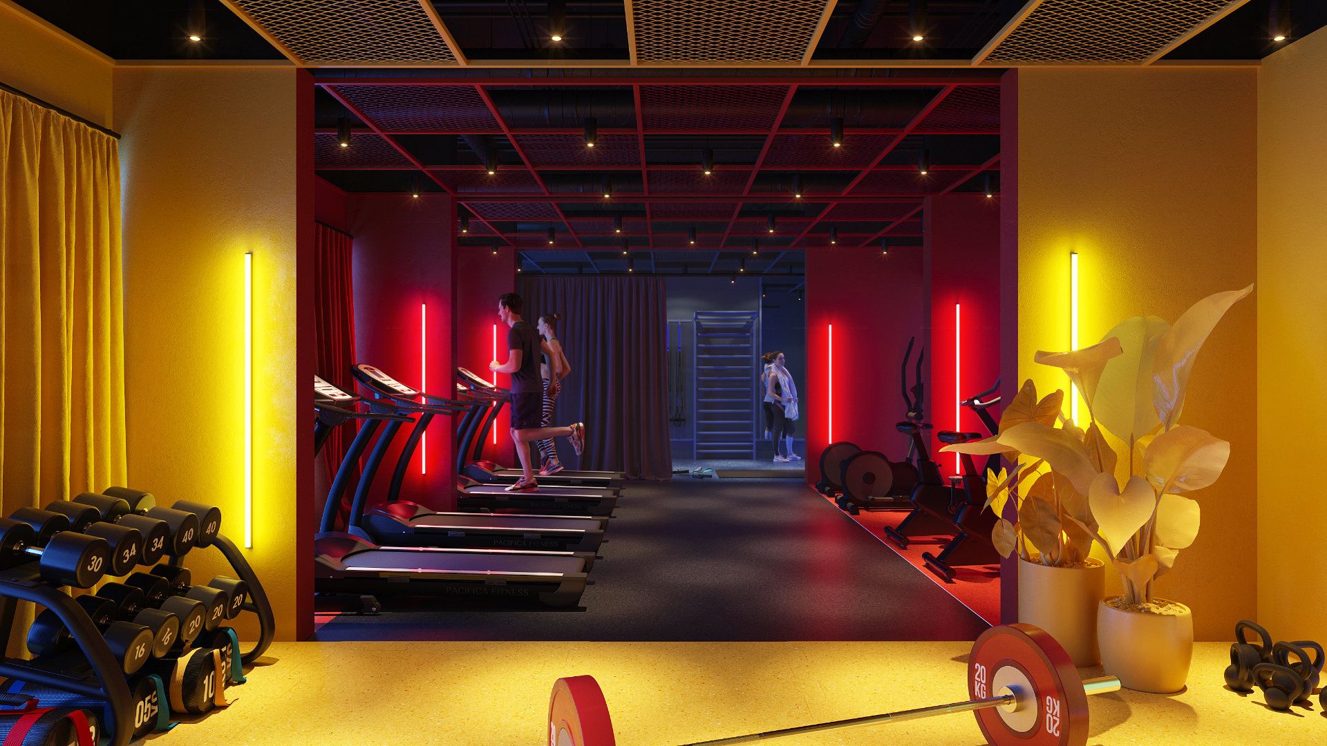 Fitness