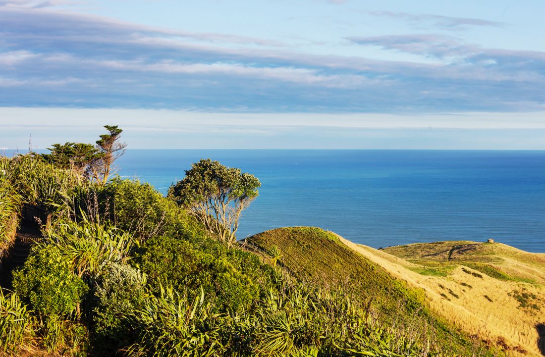 Beautiful landscapes it the Ocean Beach, New Zealand