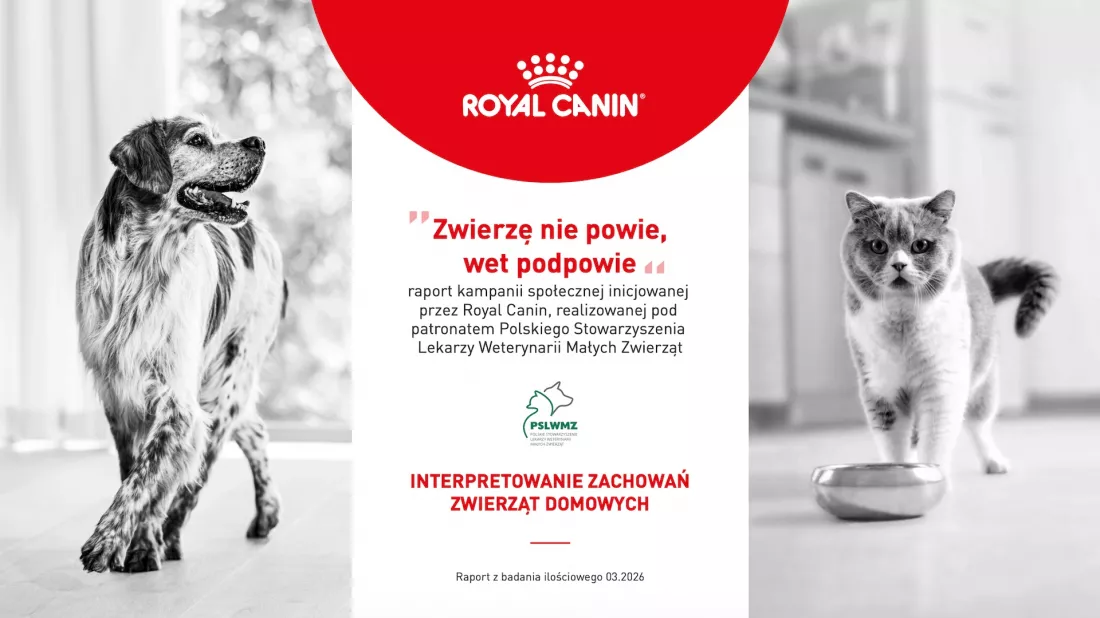 71% opiekunów ufa swojej ocenie stanu zdrowia zwierzęcia